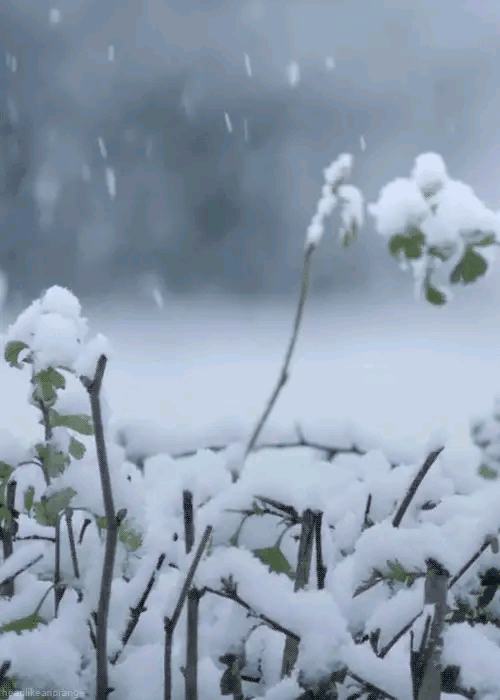 雪花飘飘动图图片