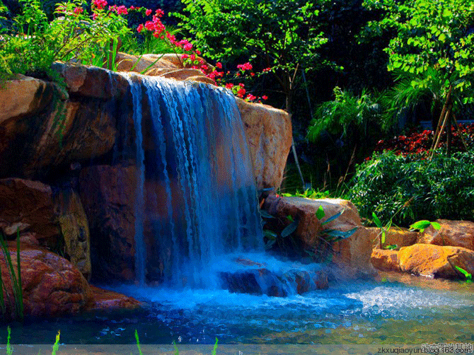 670_502gif 动态图 动图