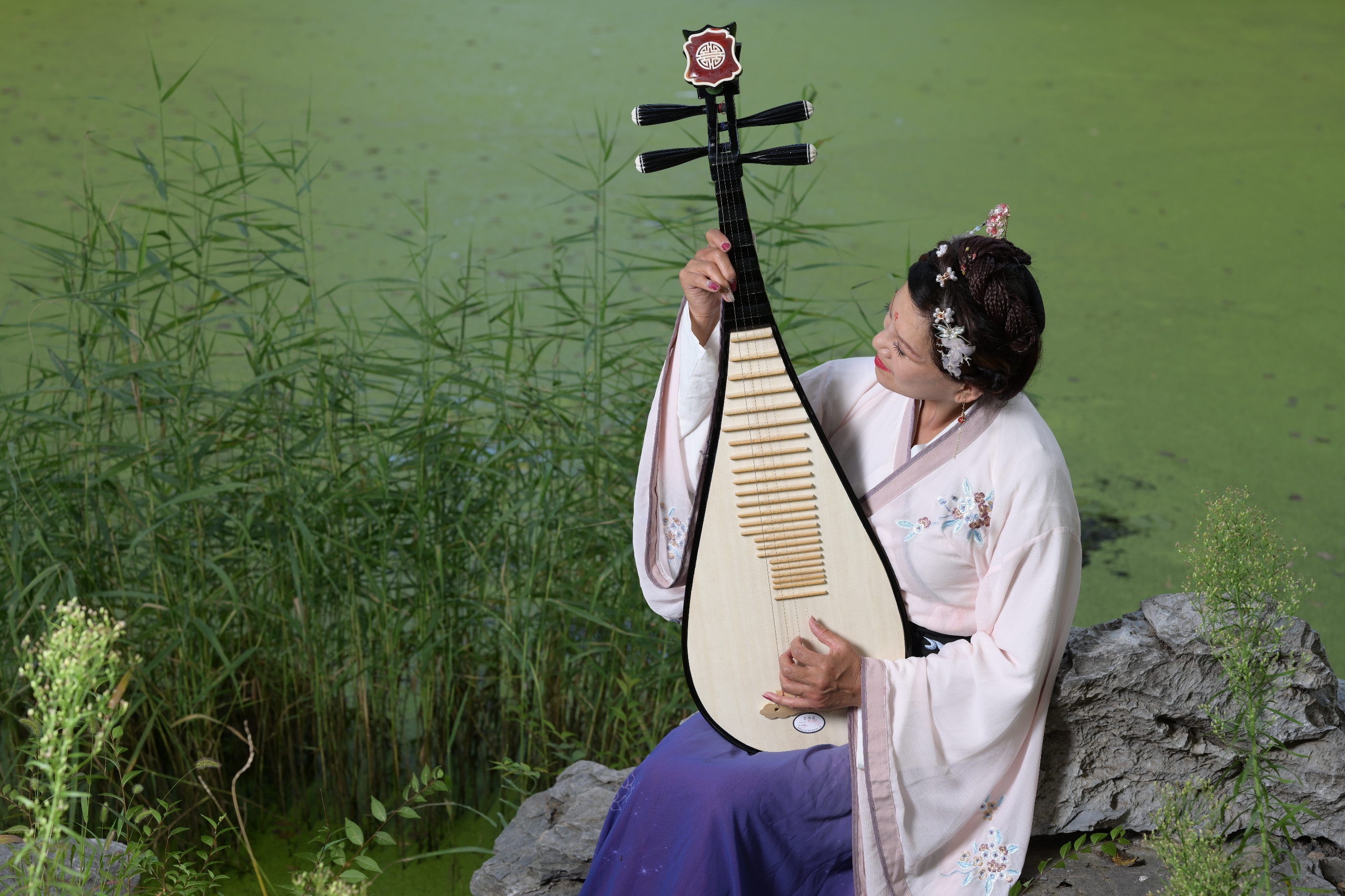 弹一曲琵琶诉情殇