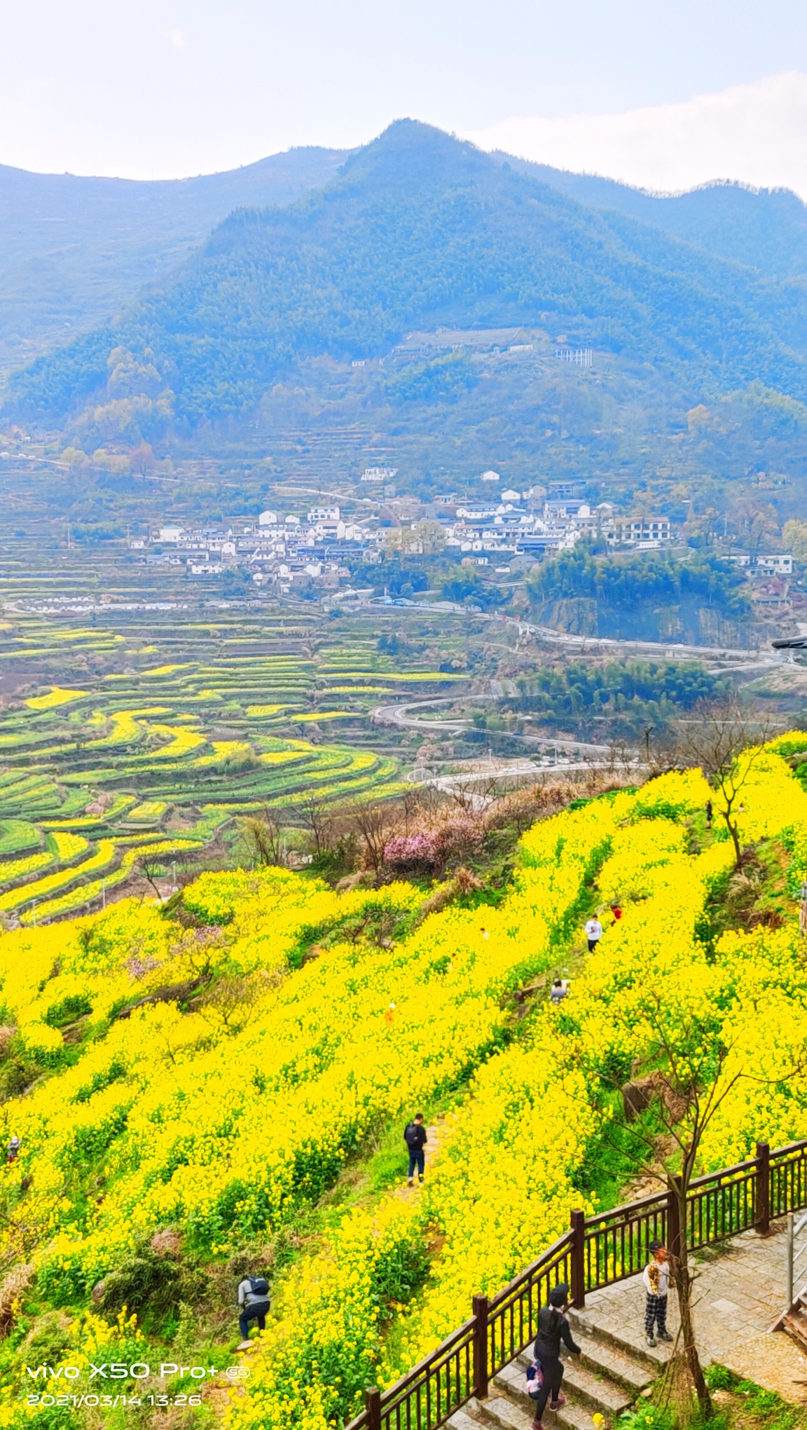 上虞桃花源景区图片