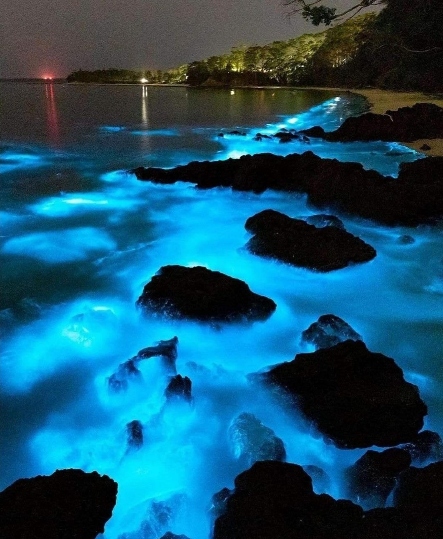 【西窗小情诗星河】首发