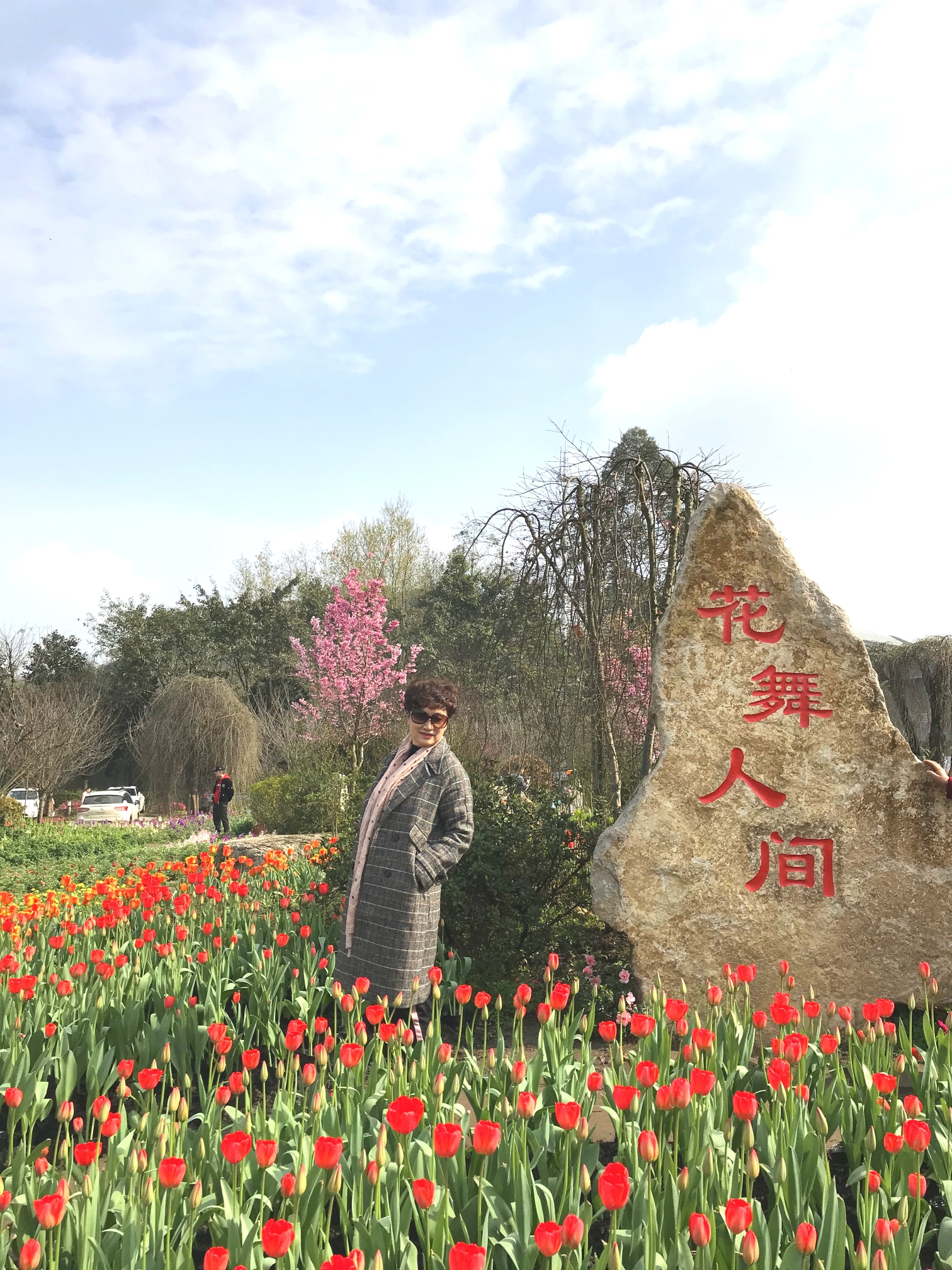 新津花舞人间景区图片