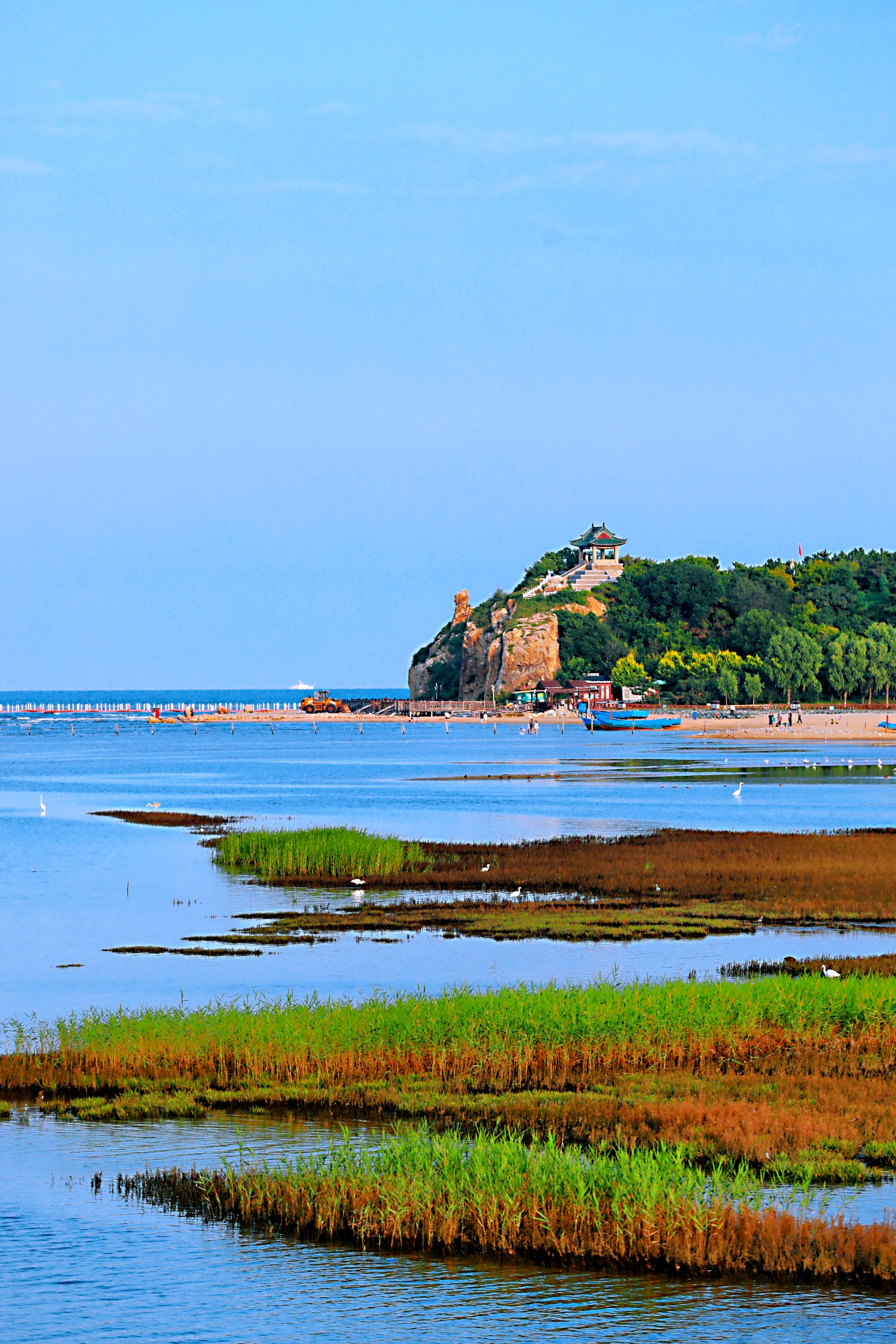 北戴河湿地