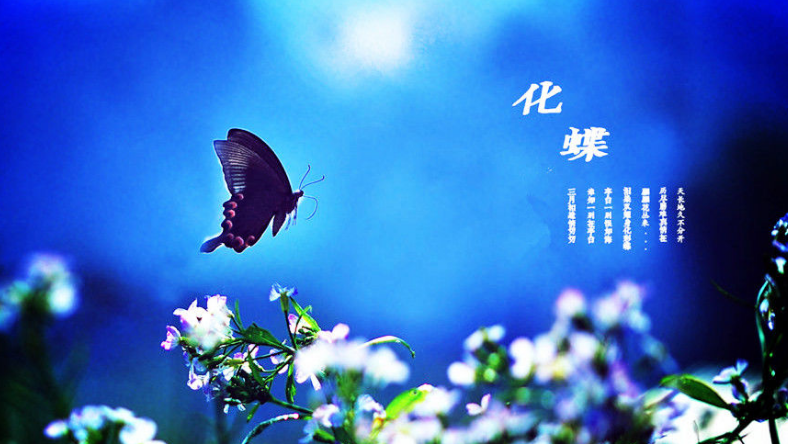 歌曲:化蝶填詞:閻肅作曲:陳鋼,何佔豪碧草青青花盛開彩蝶雙雙久徘徊