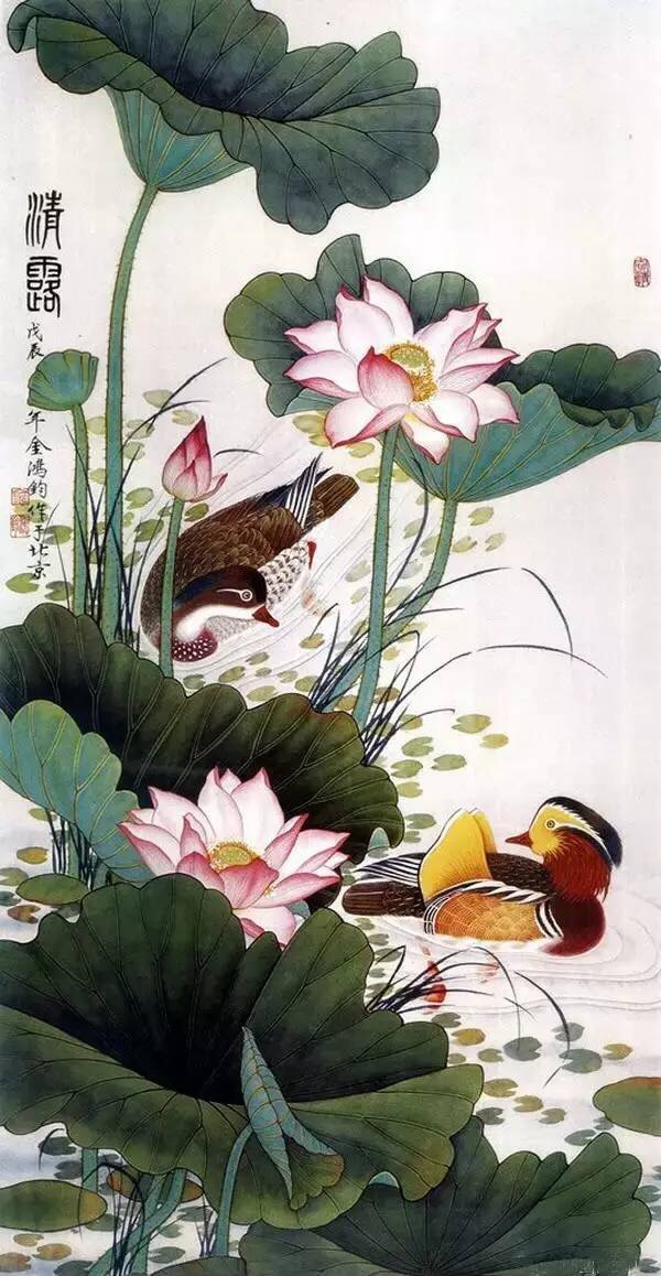 鸳鸯戏水赏荷莲