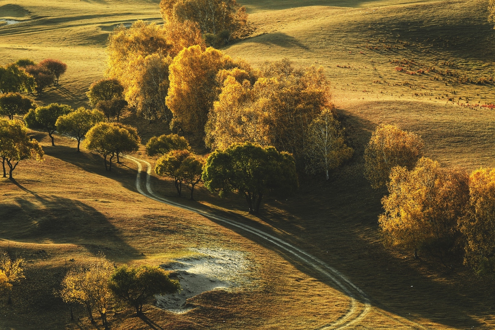 每年9月下旬的内蒙古乌兰布统秋色浓浓,远眺群山,景色美不胜收