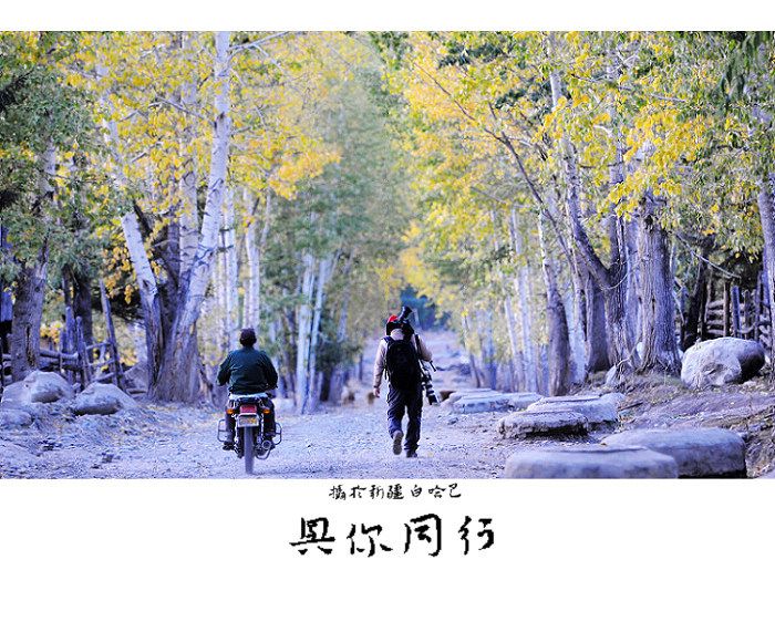 与你同行