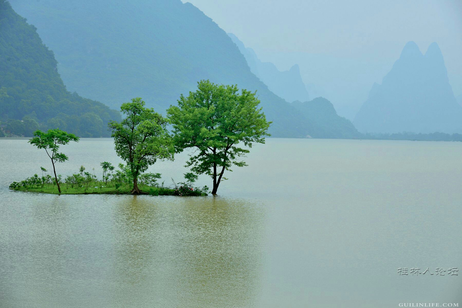 水韵渺渺,清音袅袅,那些 芦花飘零的絮语 如潮水一般地漫过我的心岸