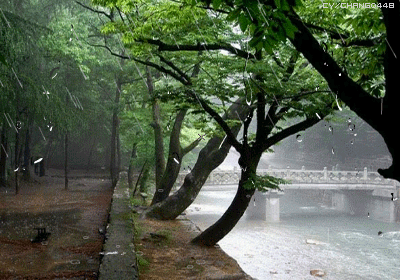 400_280gif 动态图 动图