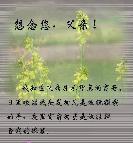 父爱如山深情隽永