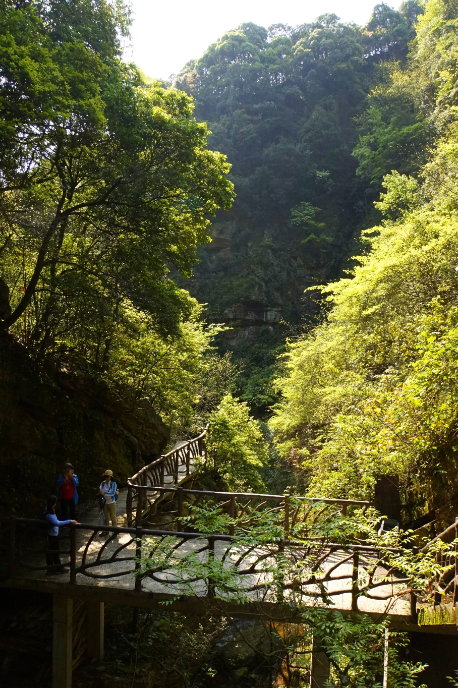 桂林靈川神嶺瀑布高山映山紅