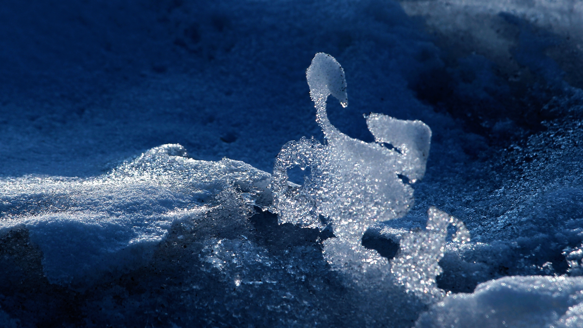 阳春三月冰雪融化