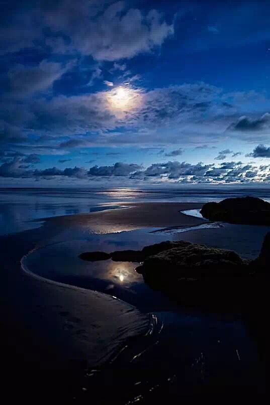 爱你的眼眸中,如水如月.