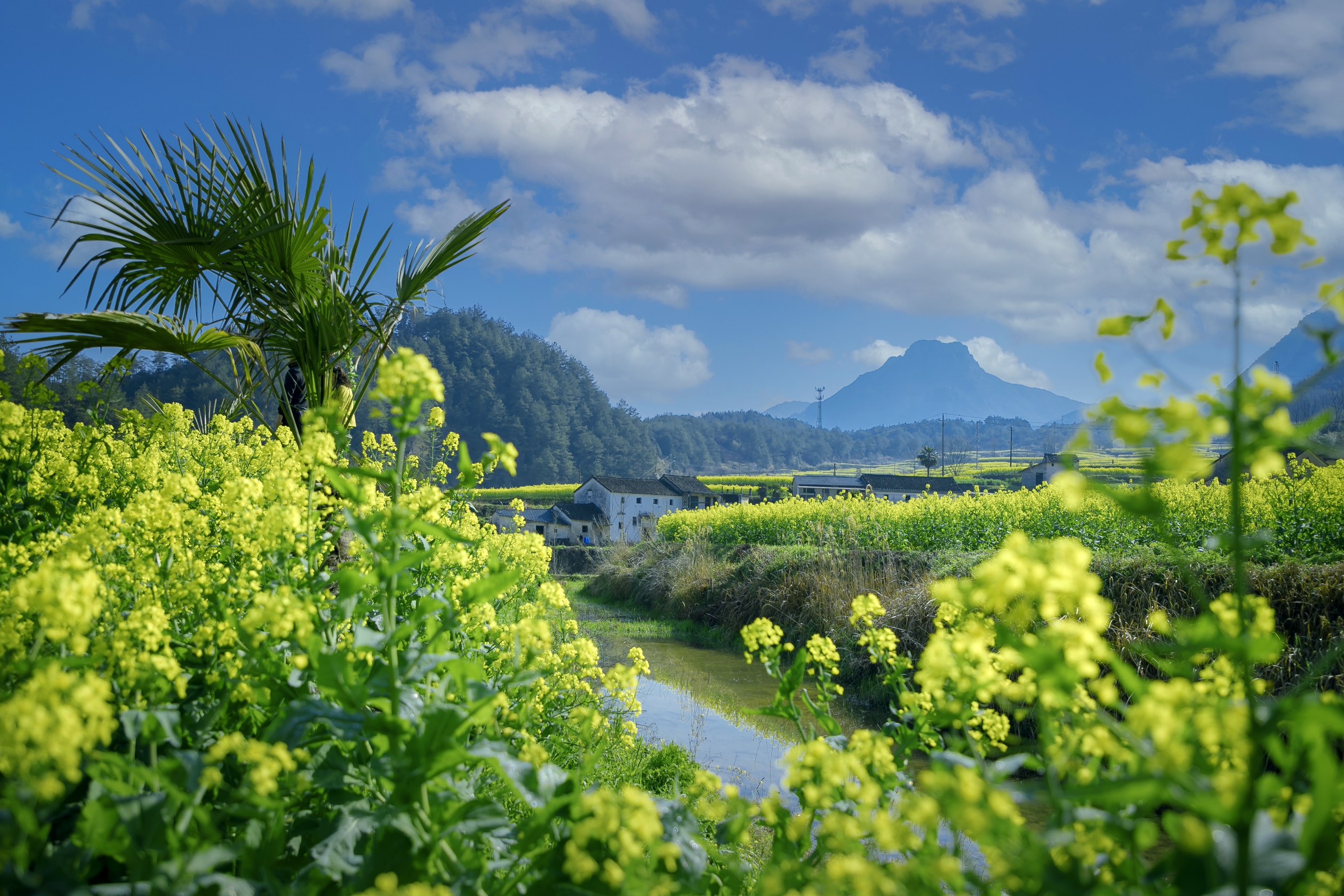 尚村美景在春天(首发)