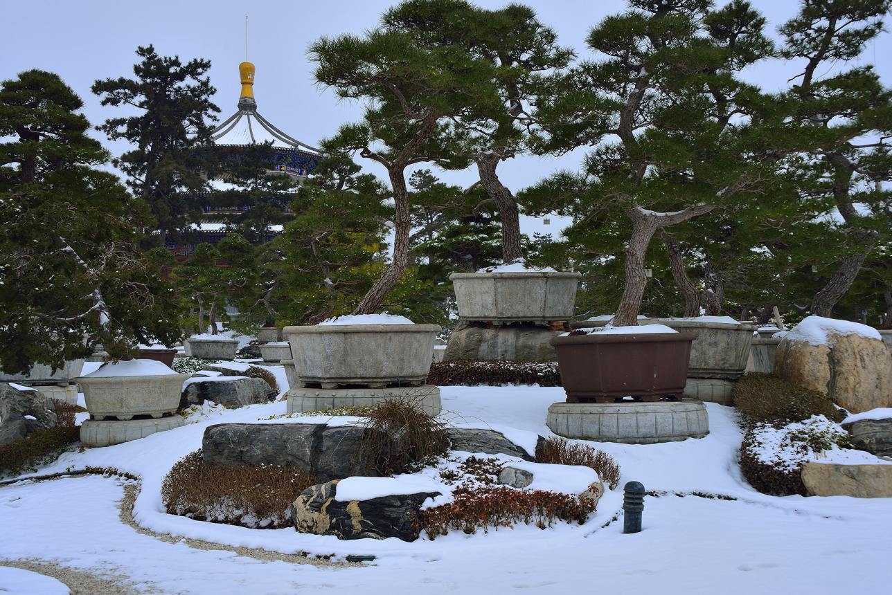 丽江古城雪景