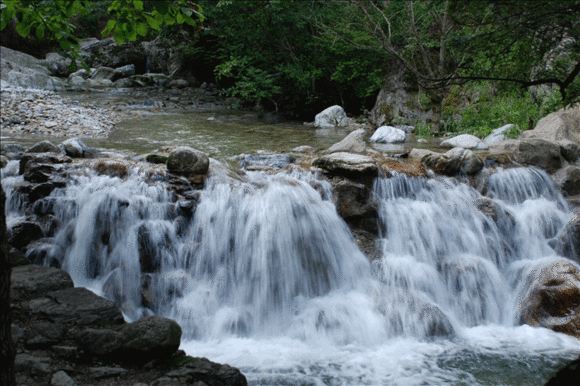 我坐在码头边的青石台阶上深情抚摸你波涛,抚摸你冰川融雪的滴水穿石