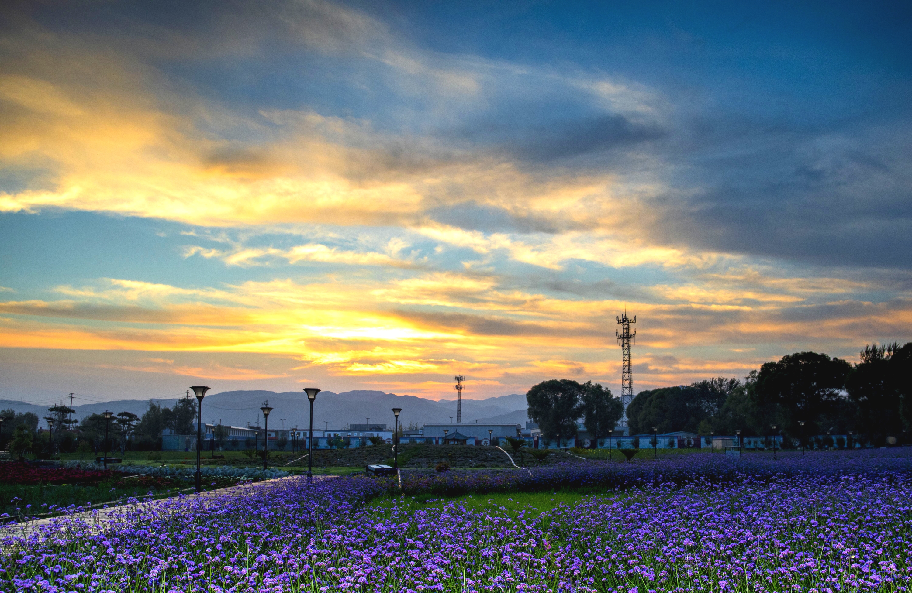首发《余霞成绮》
