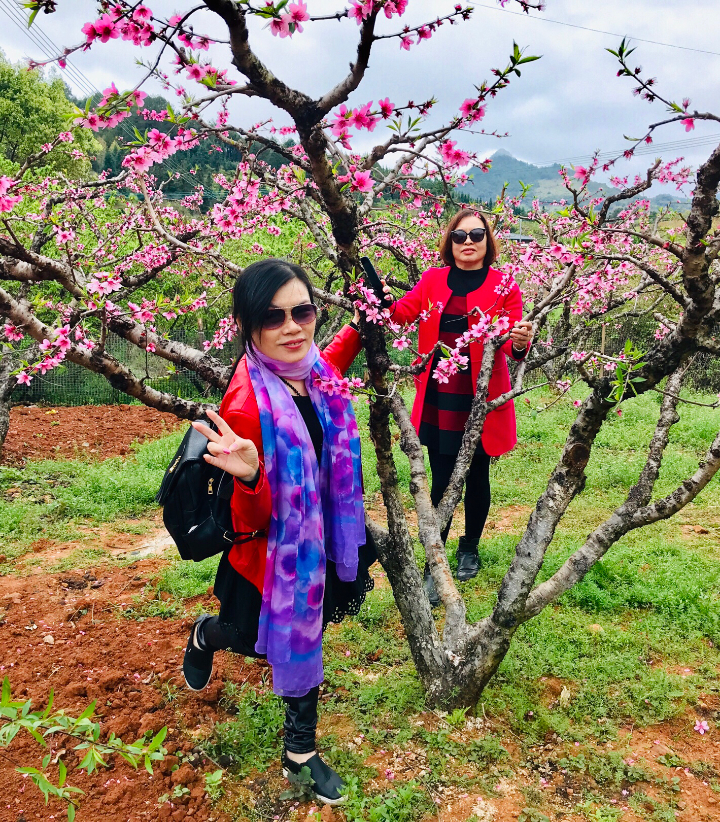 河源連平桃花節