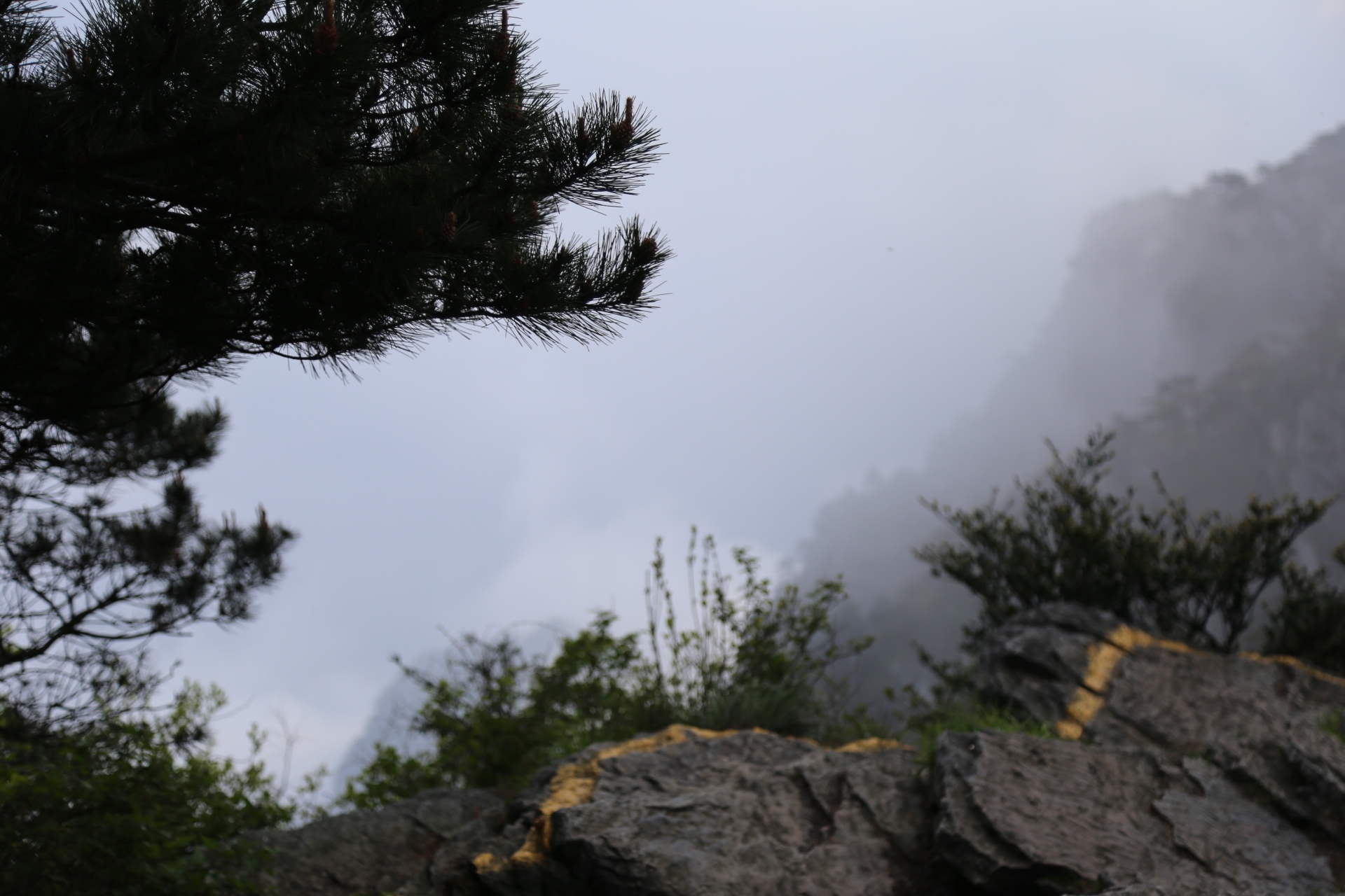 廬山真面目,讓我愛上了你.不識廬山真面目,只緣身在此山中.