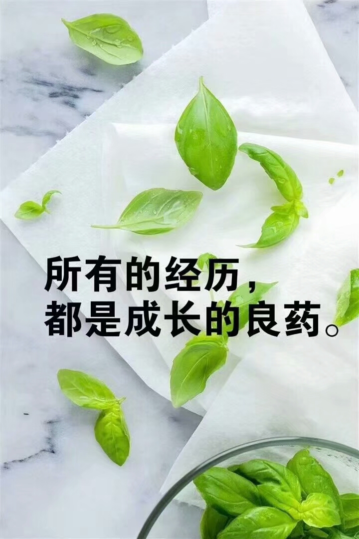 人生不易走着走着一辈子就没了