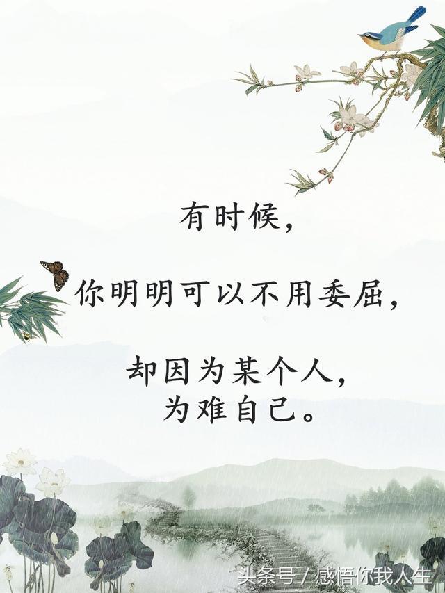 感悟品味人生百态