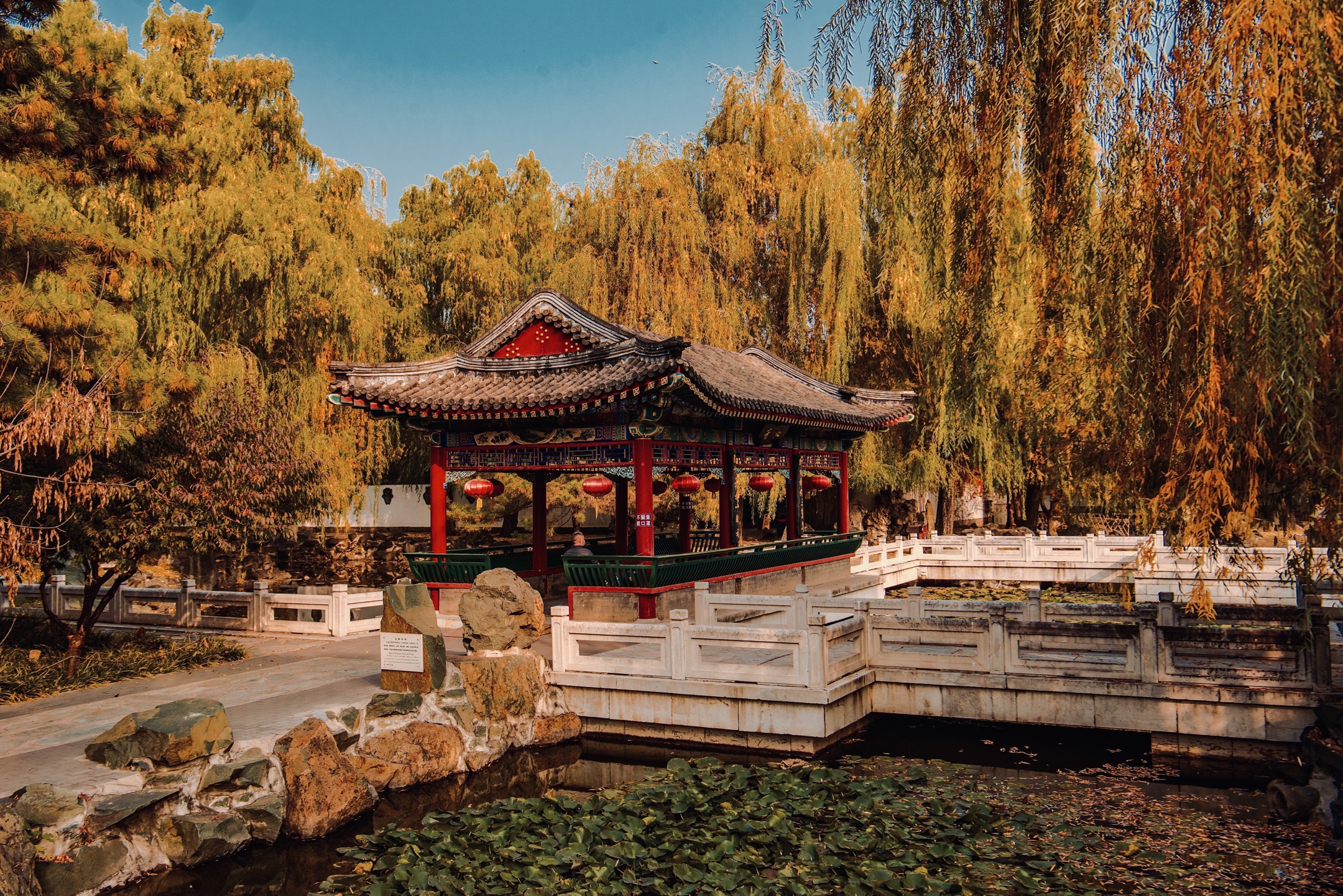 北京大观园的特色图片