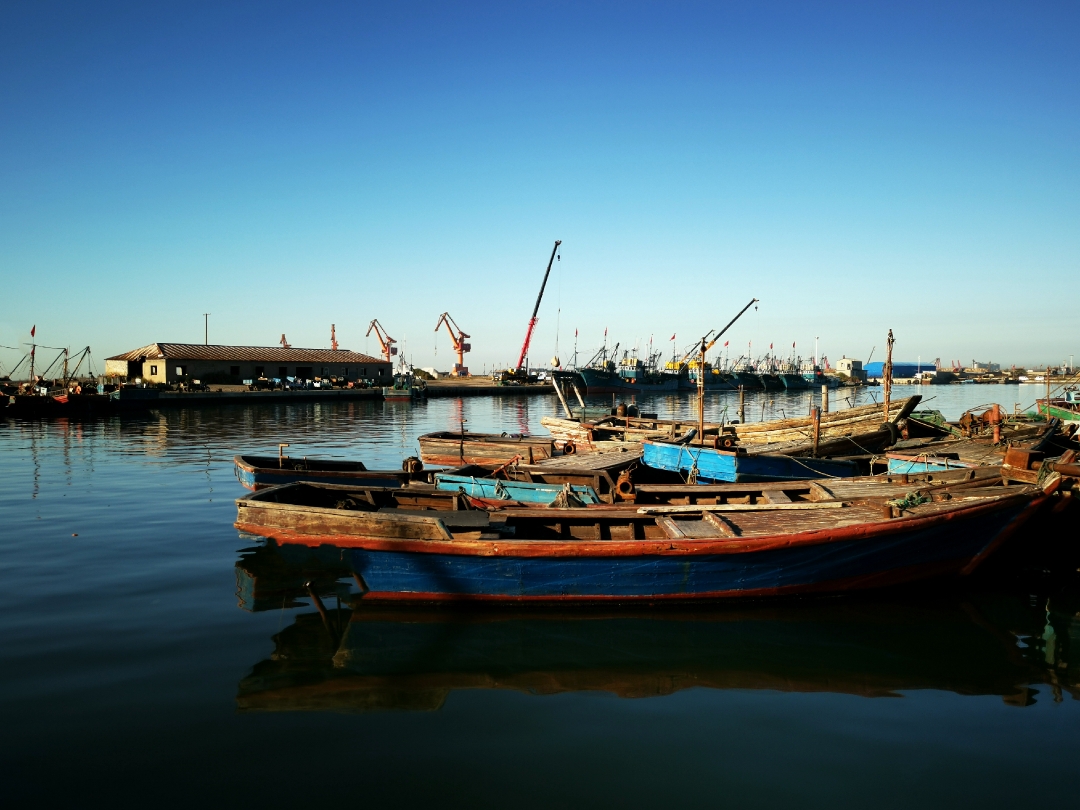 兰州东海渔港图片