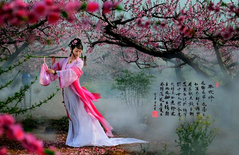 葬花吟【作者】曹雪芹