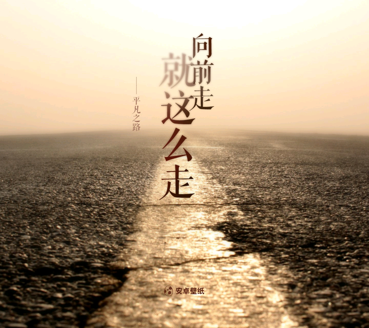 经典诵读因为平凡所以美好作者汪国真朗诵心愿