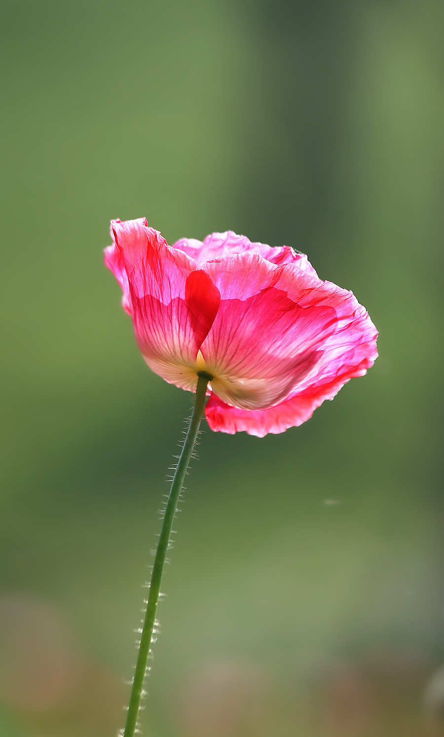 好好说话,是格局,亦是慈悲