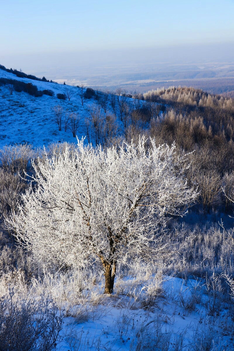 粉妆玉砌东山里