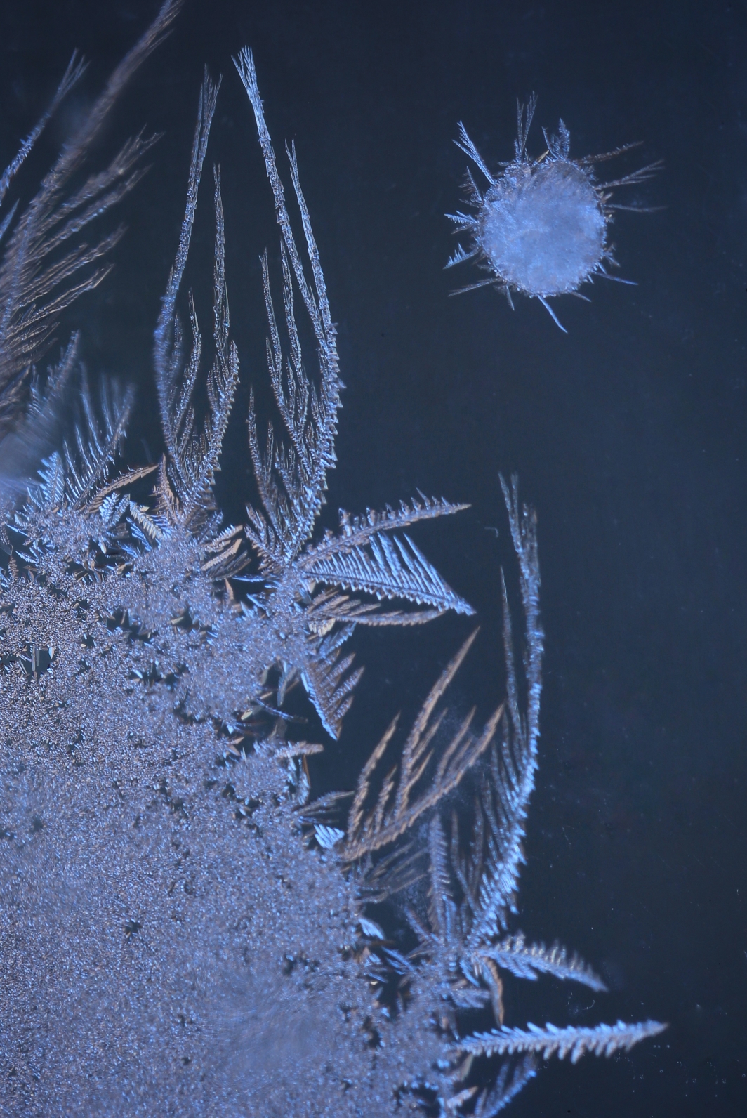 微距摄影冰凌窗花