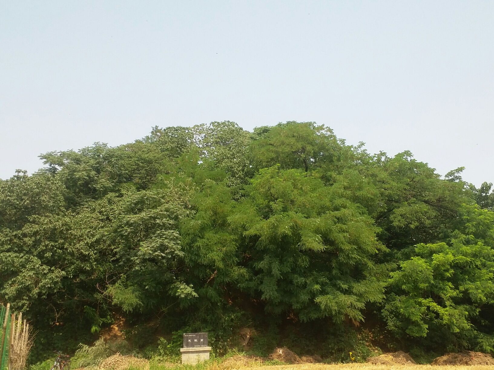 思陵冢曹植墓淮阳县城南二环路北