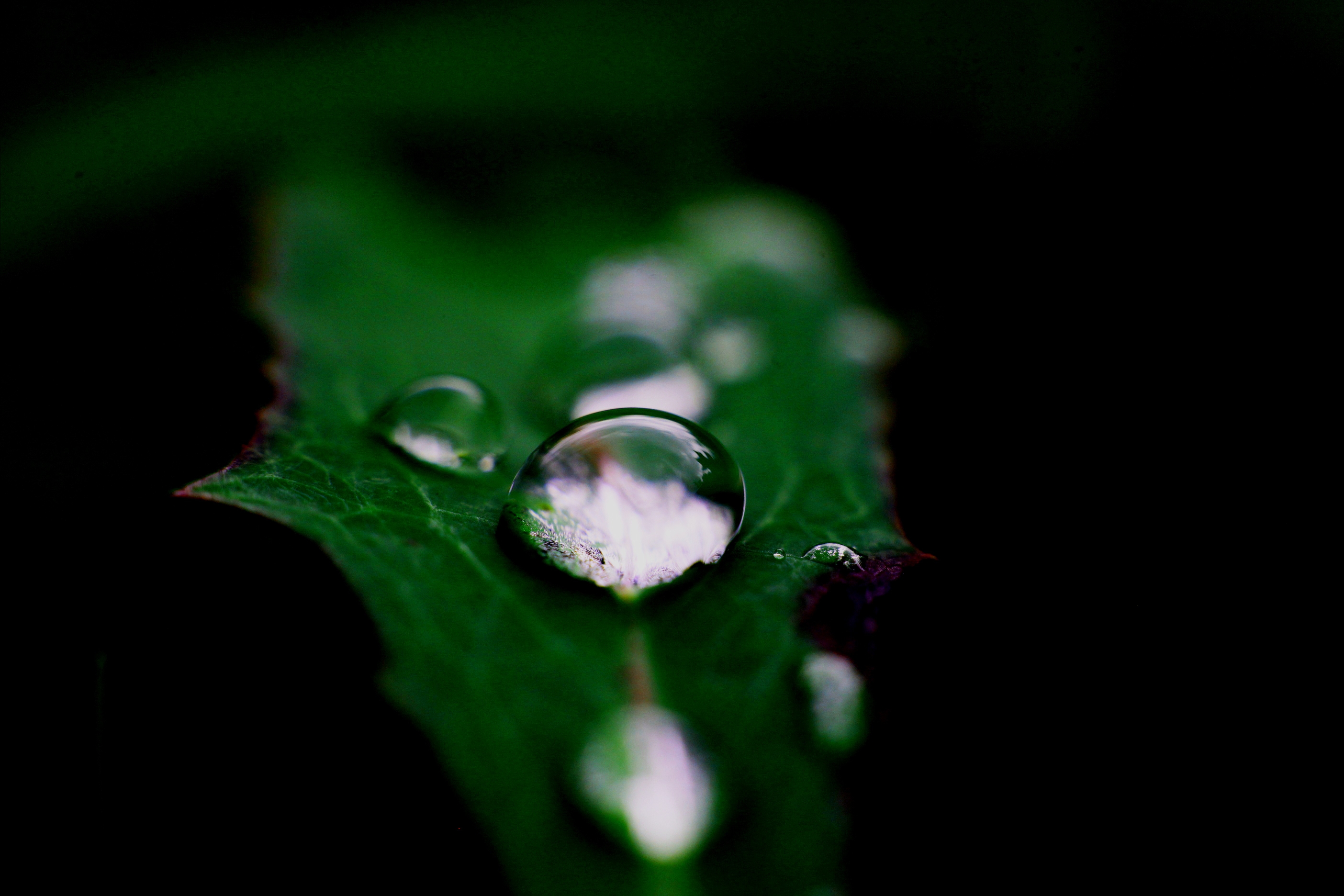 【首发】雨珠之美(二)