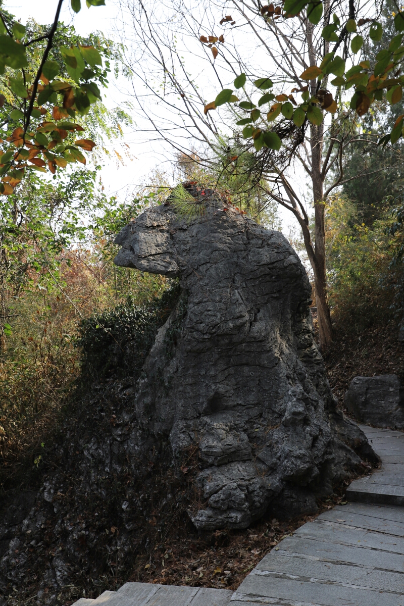 《齊山》歷朝歷代的摩崖石刻時間:2019年深秋地點:池州齊山攝影:劍平