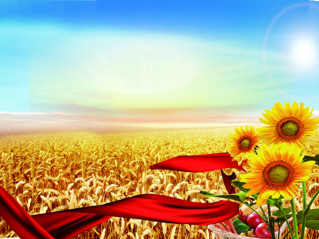 金秋九月,一派丰收的景象,这儿一片金黄,那儿一片橘红,把大地装扮成一