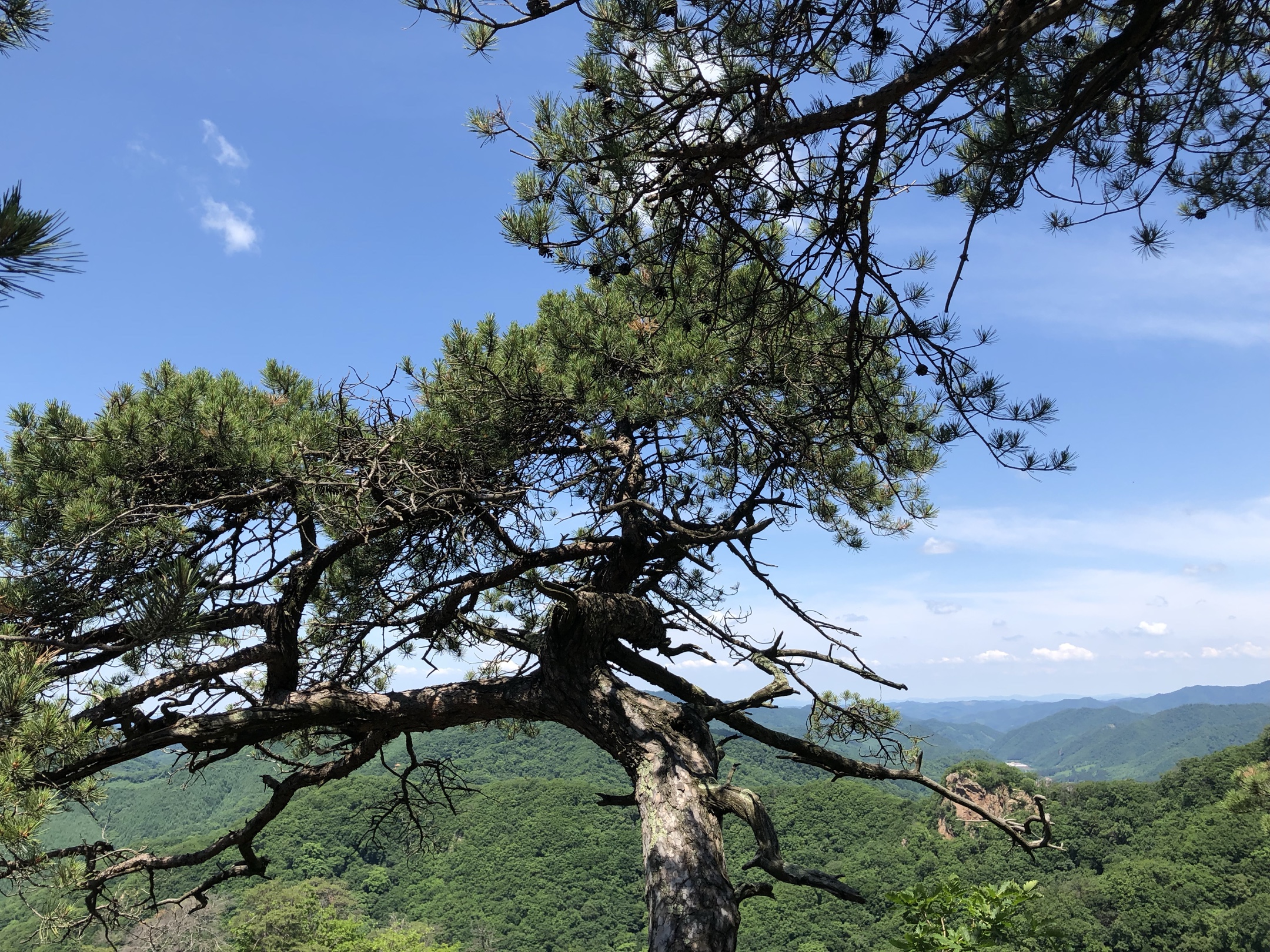 游天女山风景区