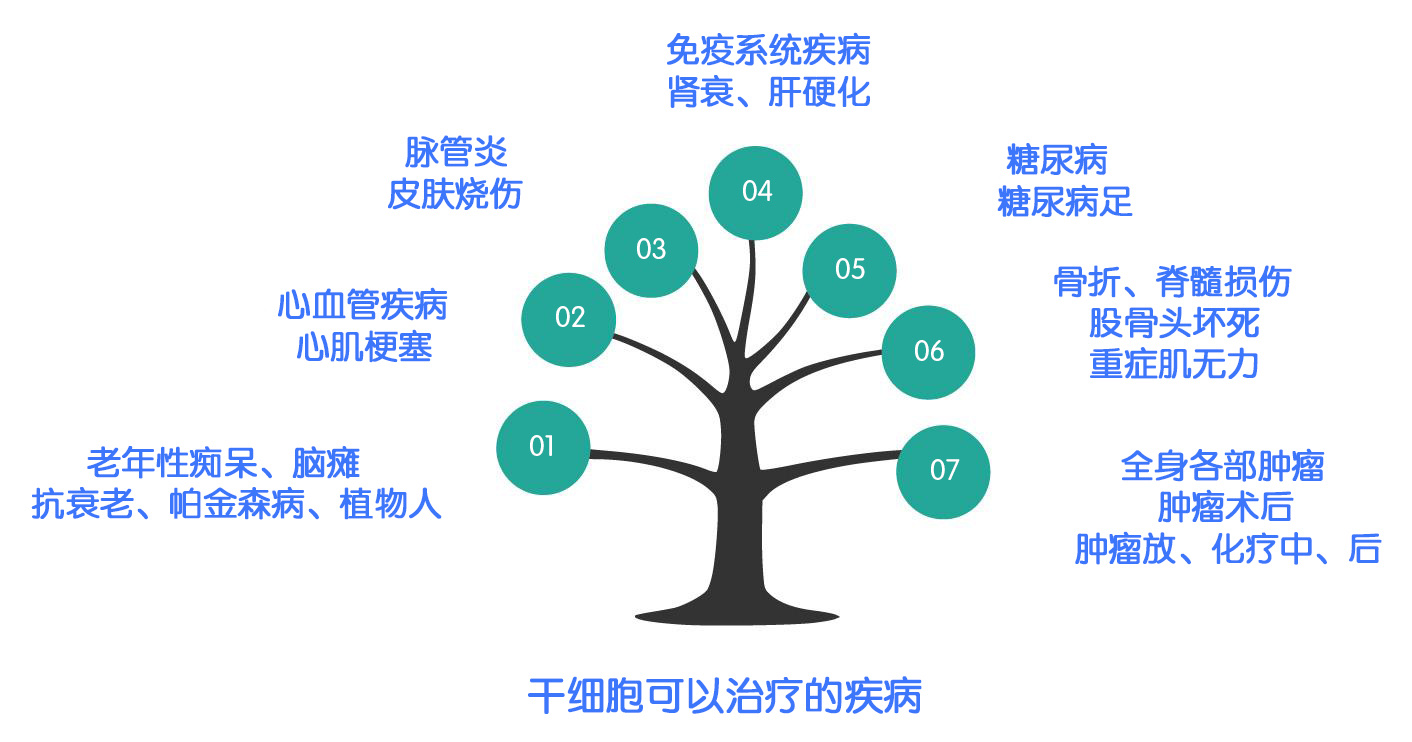 错的不管是1型还是2型的糖尿病都有很好的效果干细胞移植治疗糖尿病是