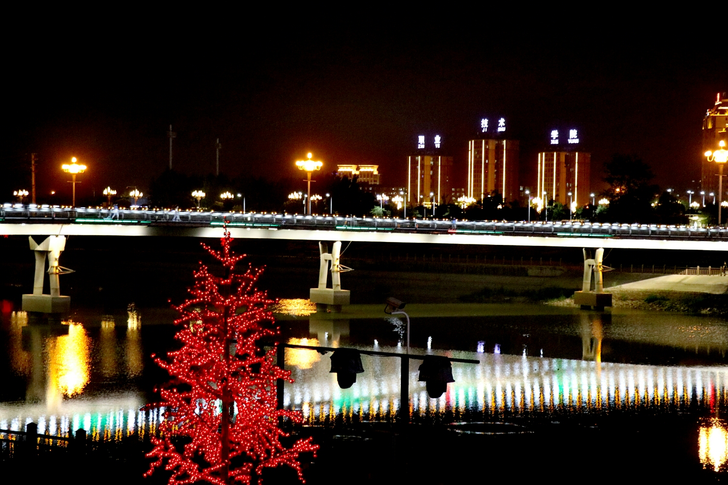 三门峡文博城夜景