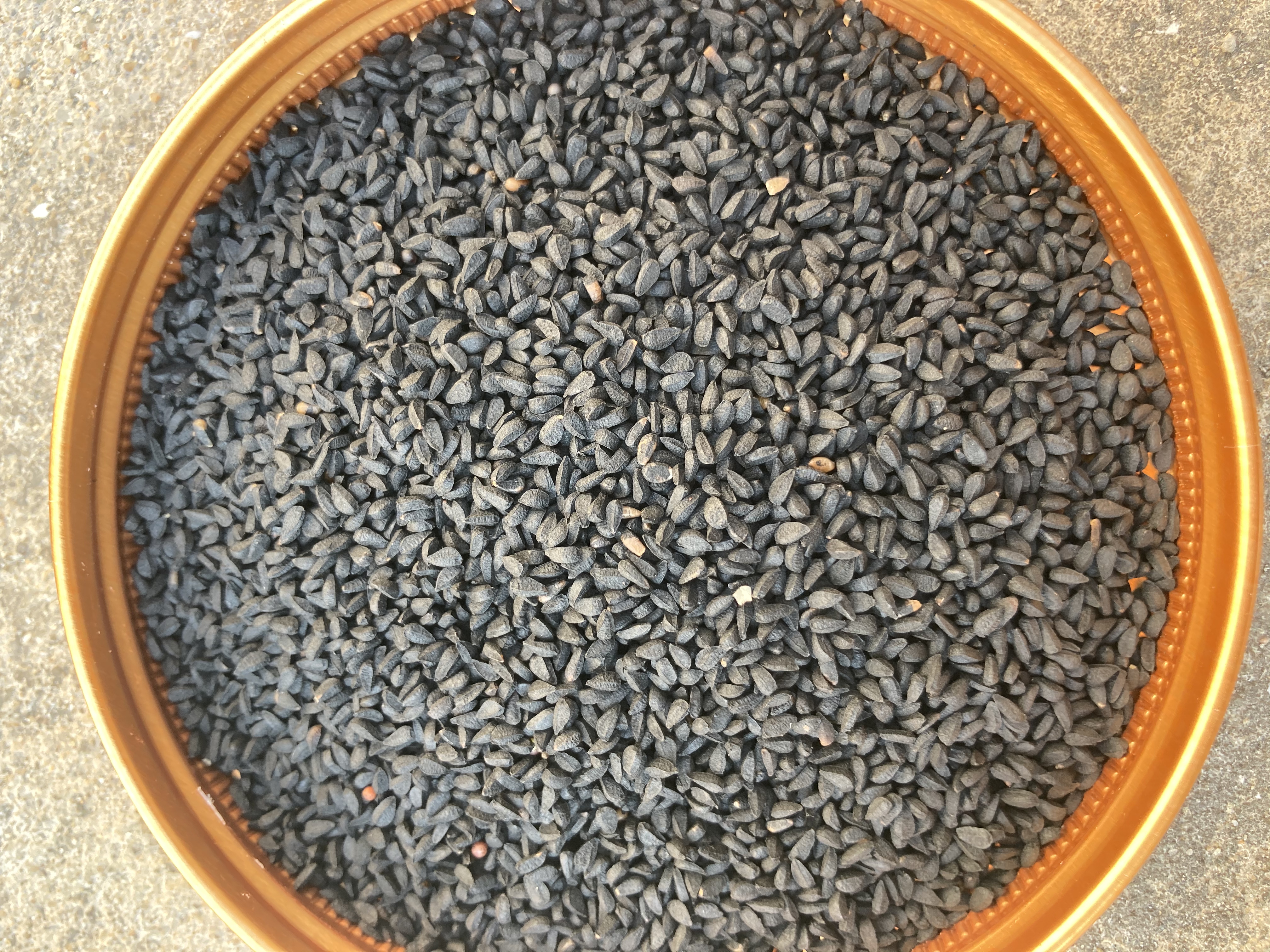 阿拉伯黑籽是什么有什么功效和药用价值