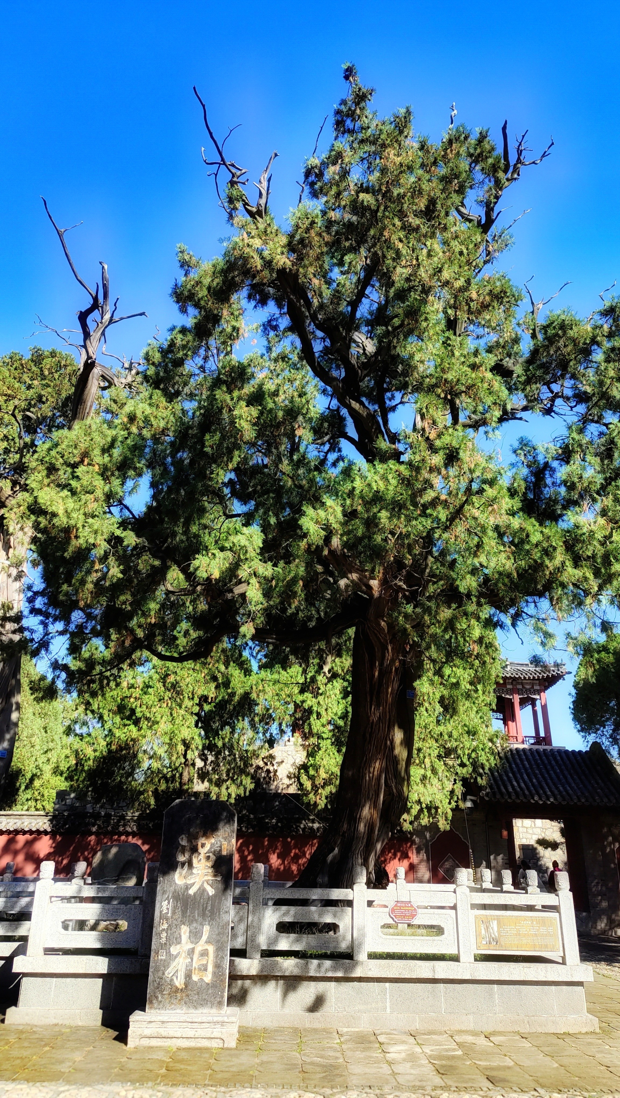 《泰安名胜景点——岱庙》(手机拍摄)