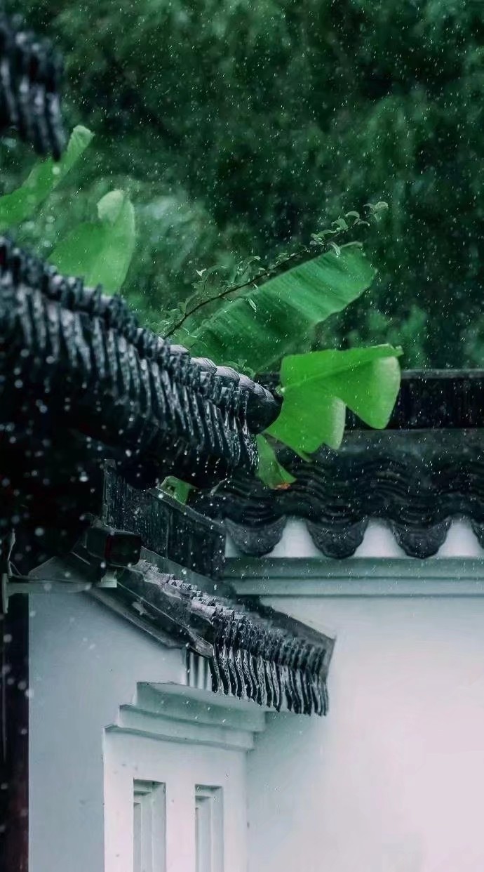 【港湾新编个人现代诗合辑16】雨打芭蕉闲听雨