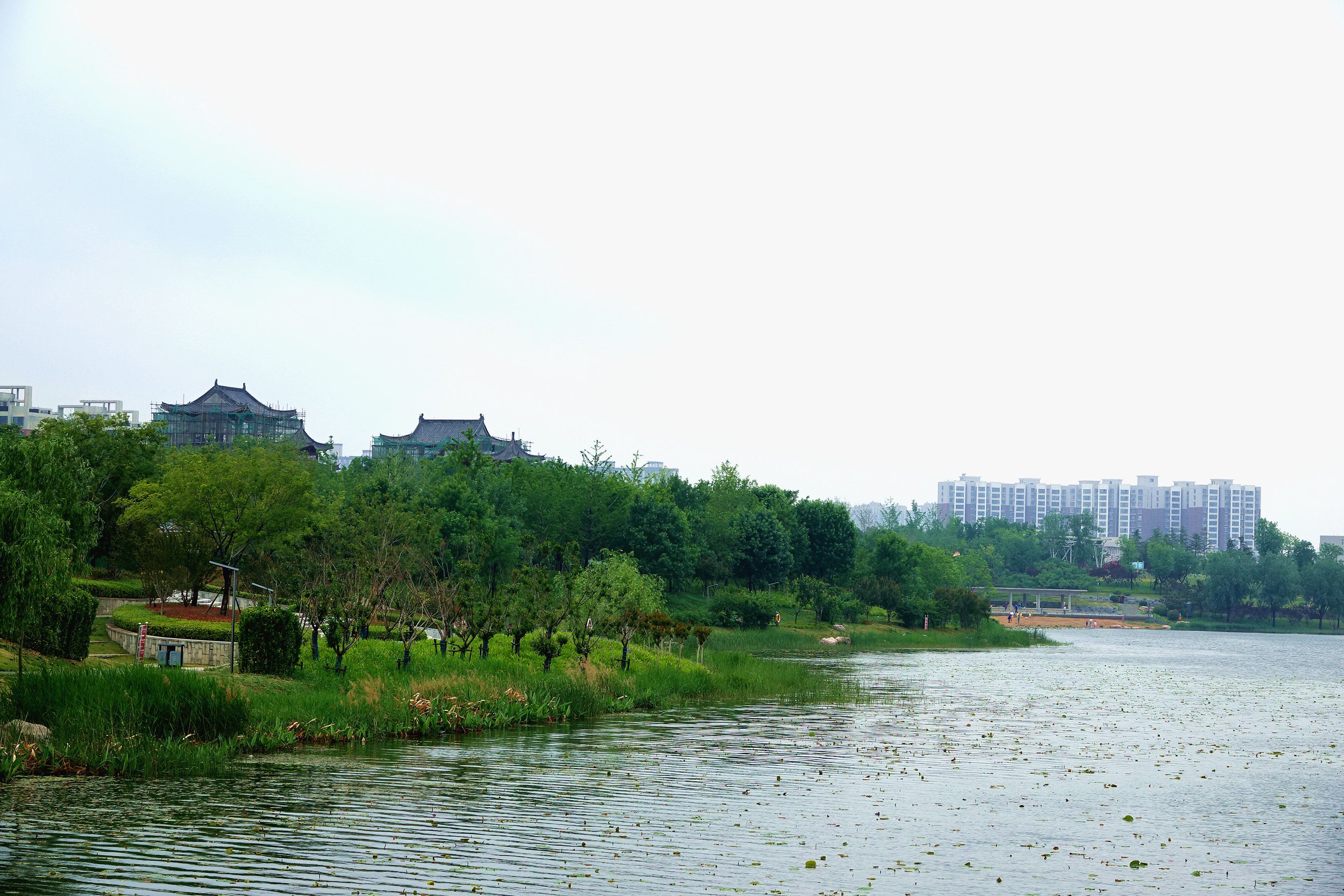 闲庭信步龙子湖(二)