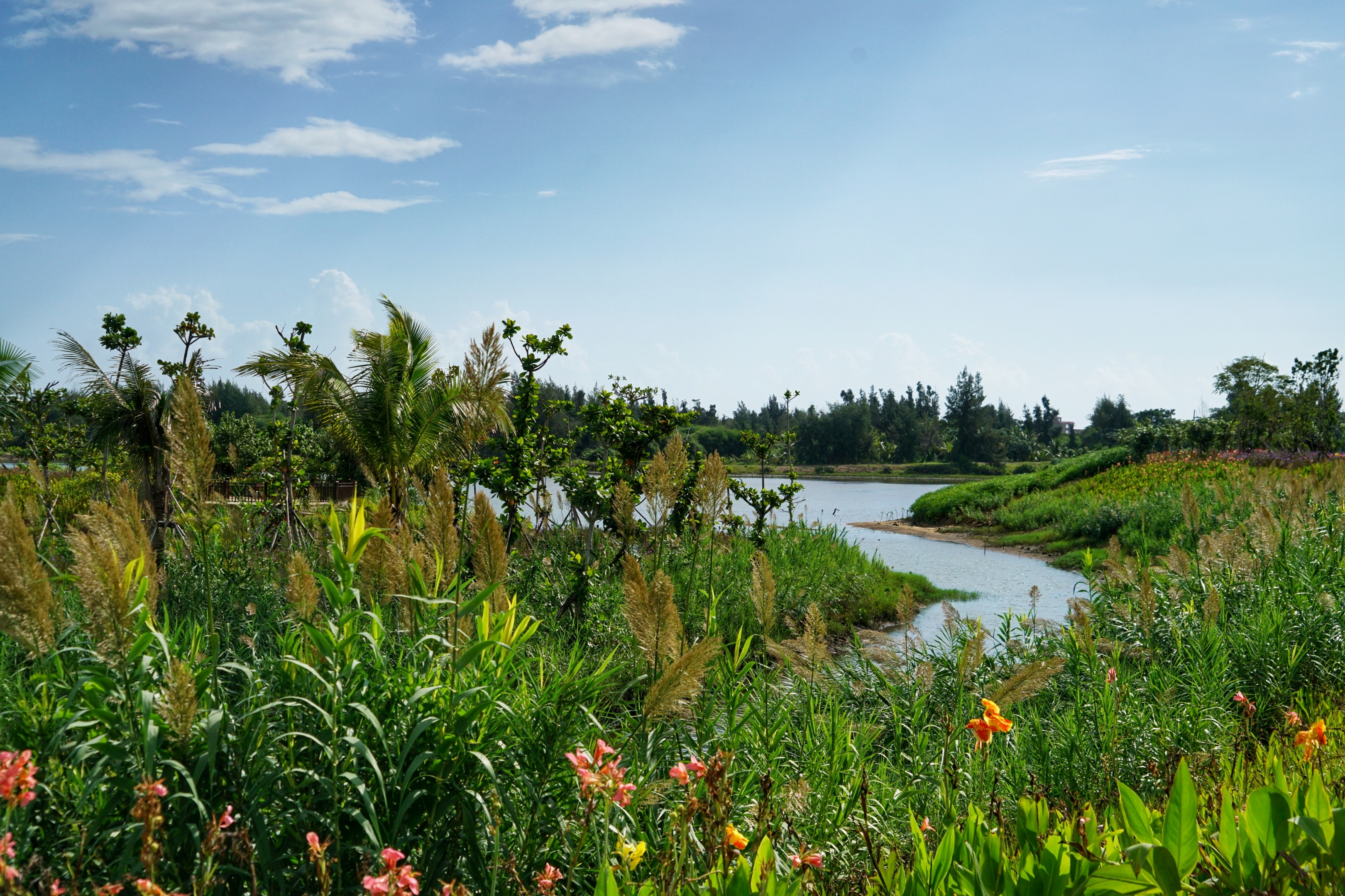 湿地风光自然美