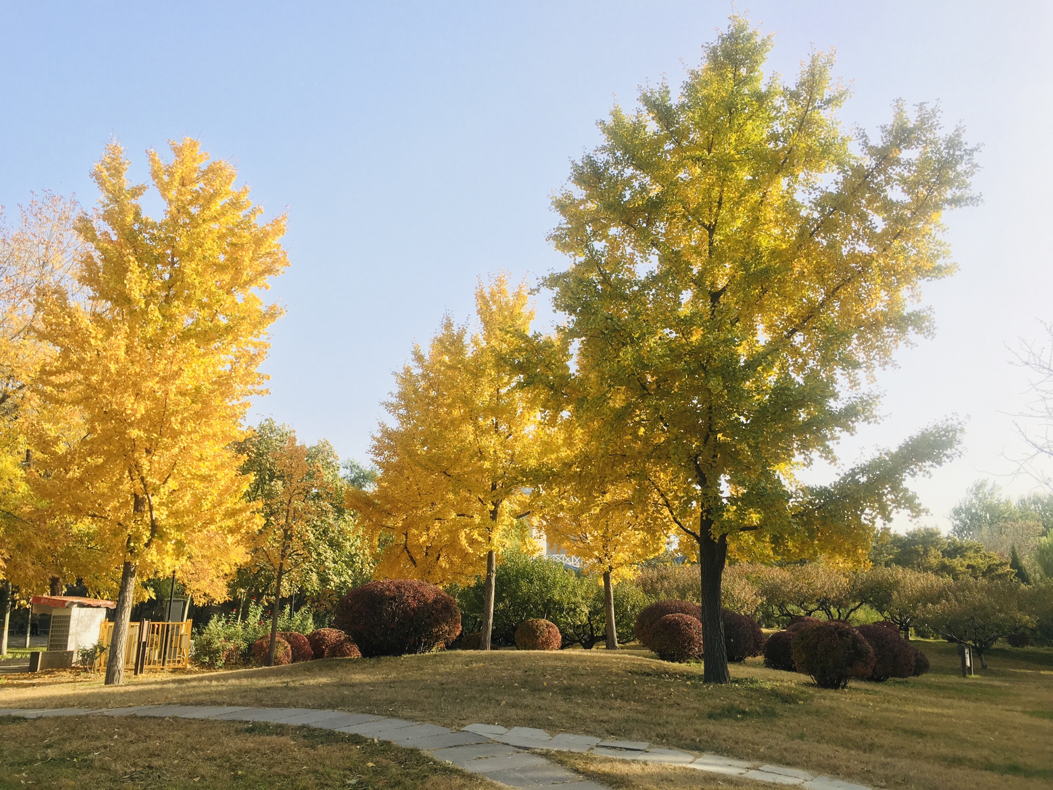 走进大自然看秋季美景