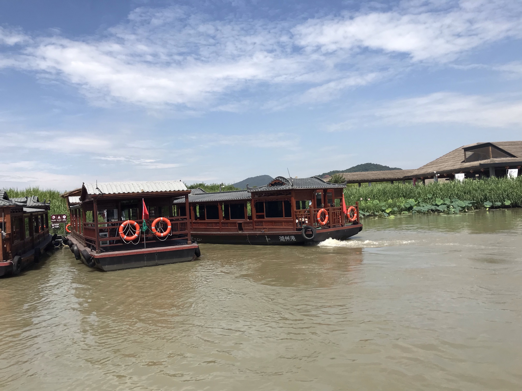 最美湿地下渚湖芦风苇影荡船行