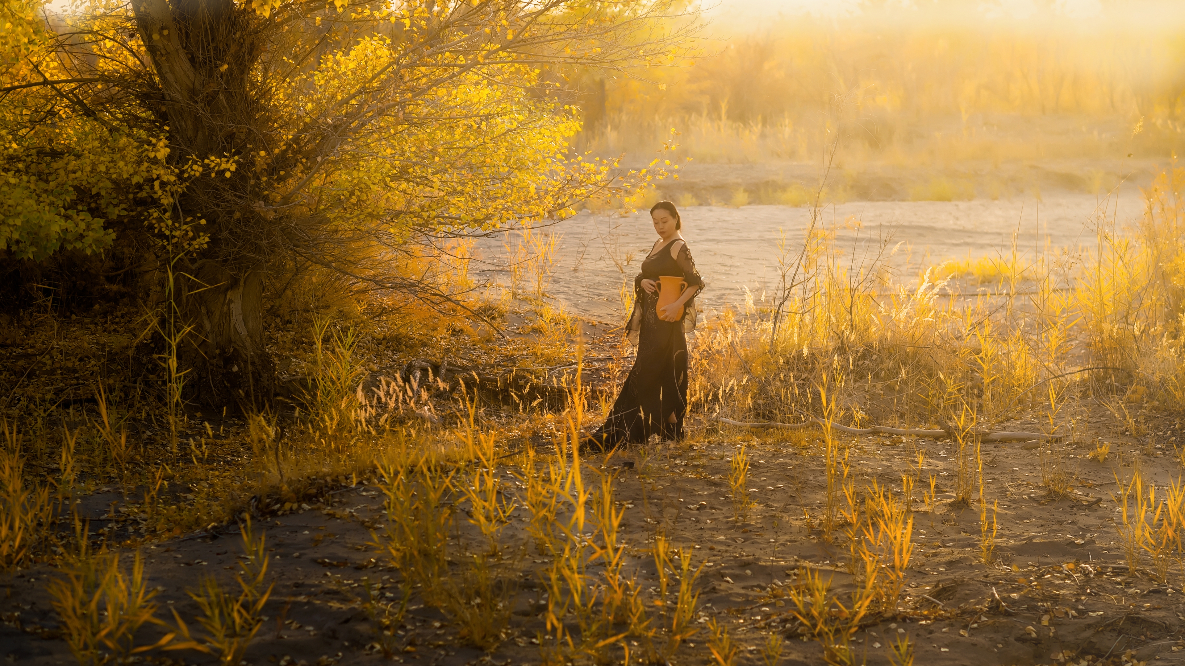 首发[我~孤独的守望]影诗视.原创