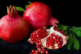 (石榴花) 鲜艳如火石榴花, 青枝绿叶陪伴她, 美丽如仙红姑娘, 朵朵