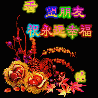我爱的人祝福你! 陪我的人感激你! 想我的人请继续!