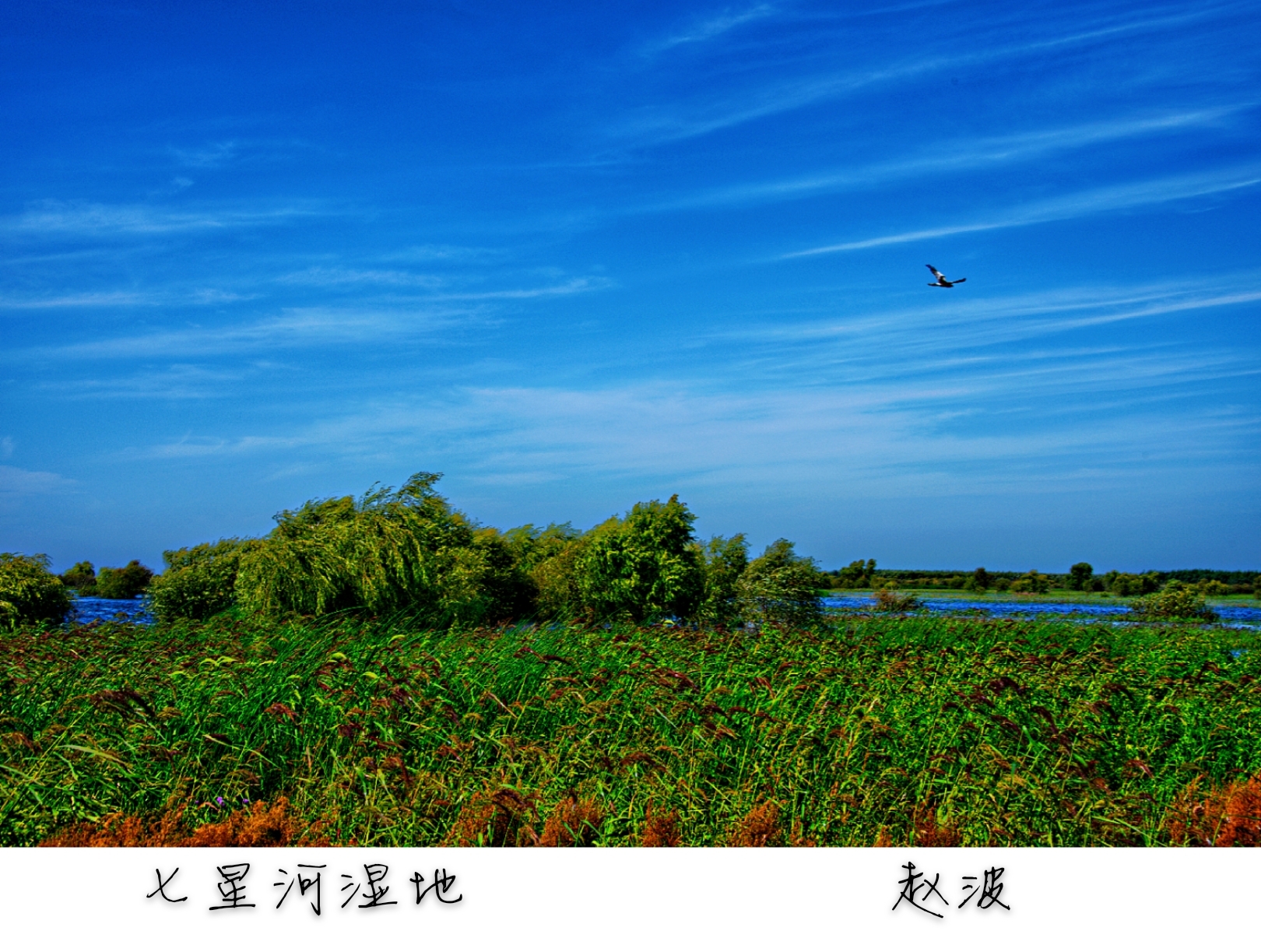 建三江旅游景点大全图片